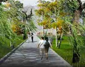 中国甘肃花木信息网 苗木网 求购供应 绿化工程 景观设计公司