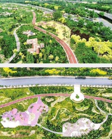 京津公路入市口绿化景观工程完成施工 游园开放了